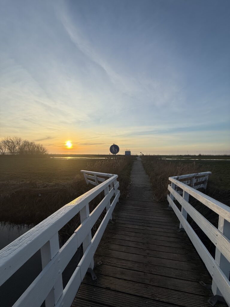 Beach path IJsselmeer strand Workum Friesland