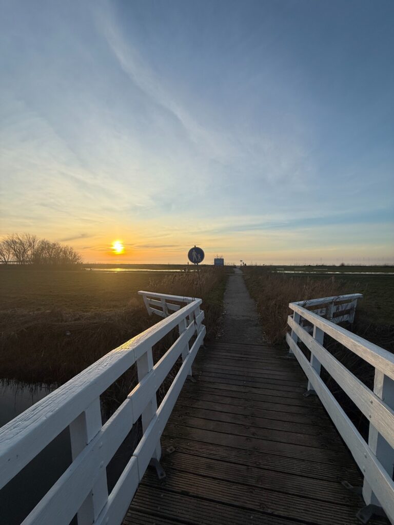 Workum Strand IJsselmeer beach Friesland
